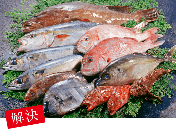 わざわざ市場に出向くことなく、旬魚、高級魚など多種多様な魚が新鮮な状態で手に入る