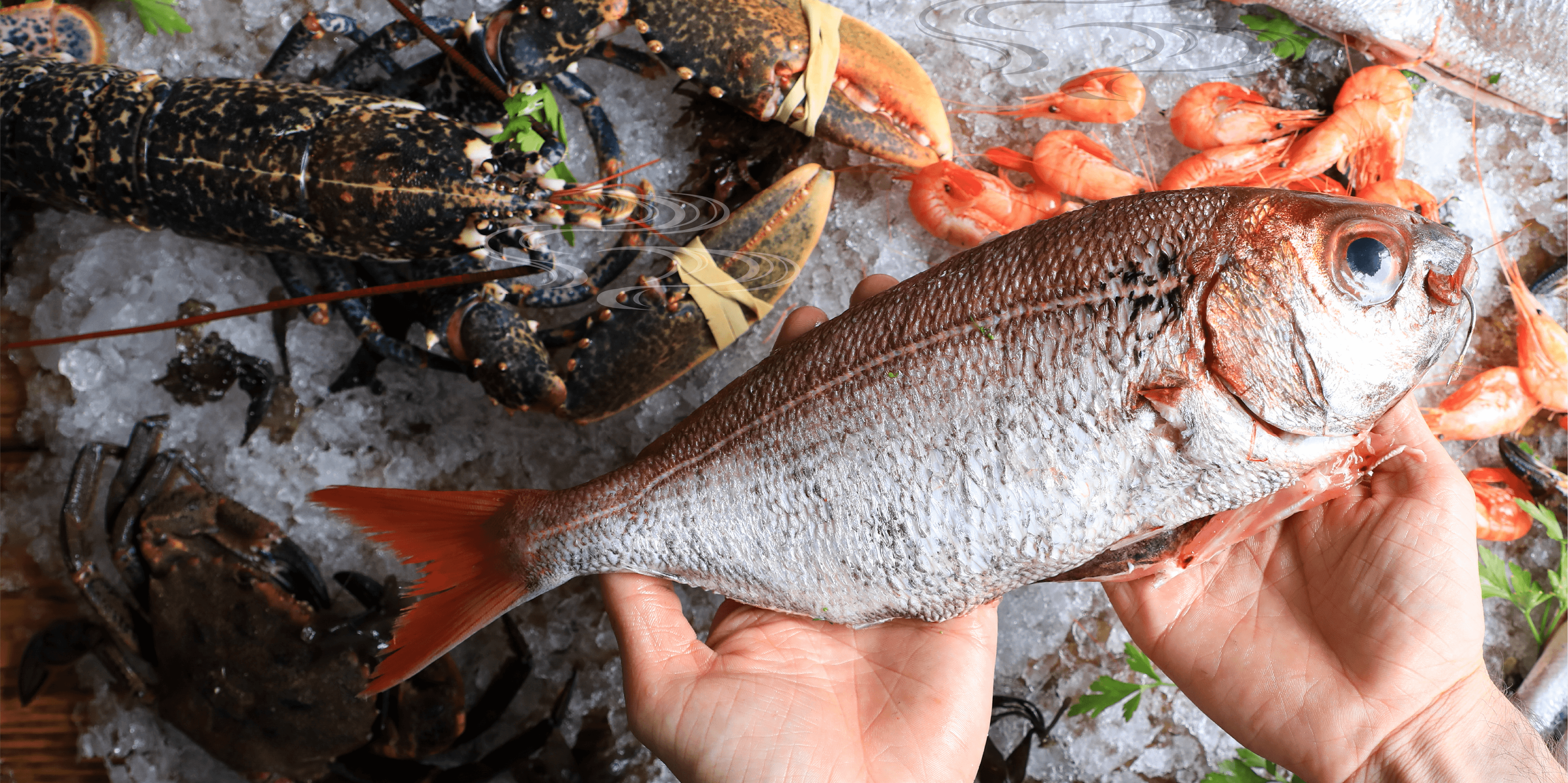 瀬戸内海の高級魚をあなたのお店に。